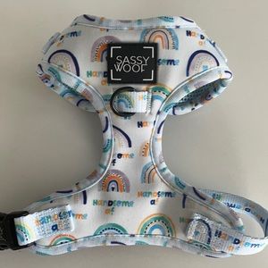 Boy dog harness! Handsome AF